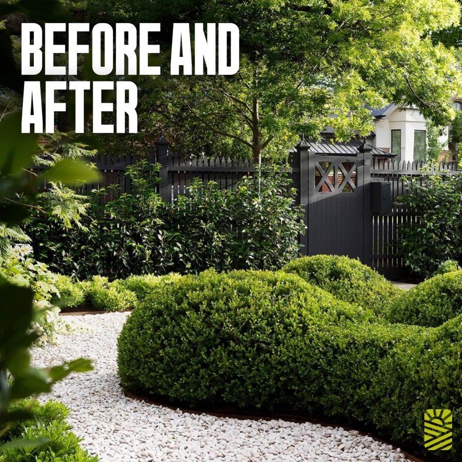 Before and after garden