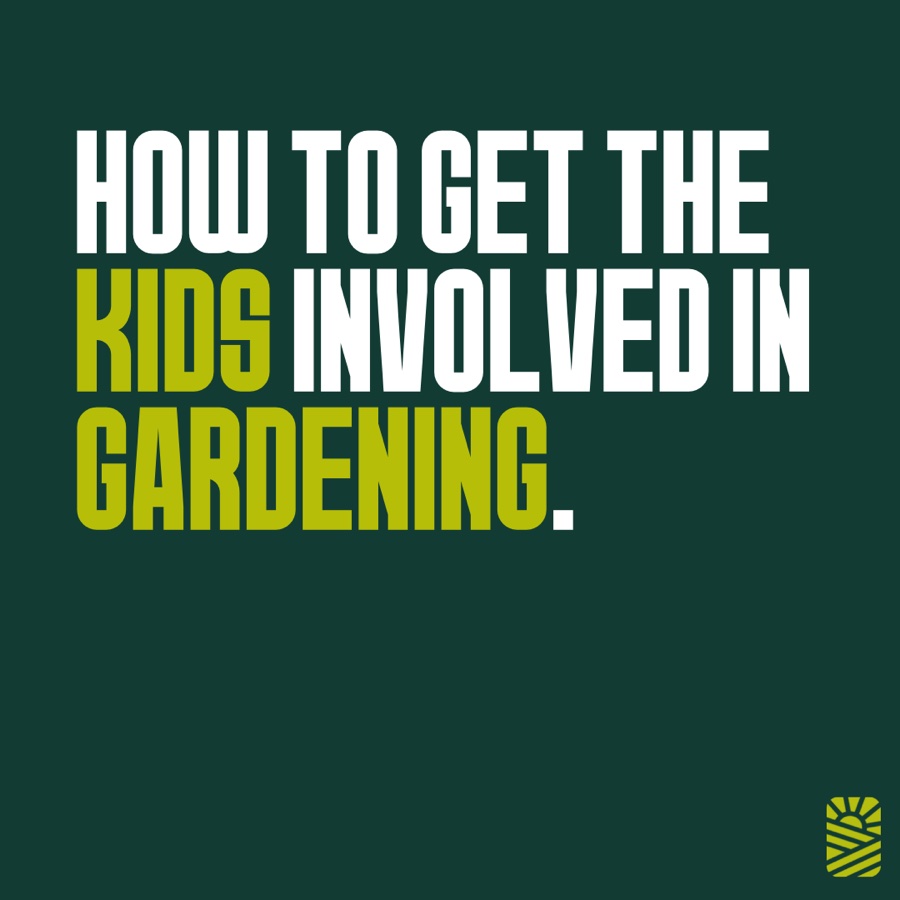 How to get the kids involved in gardening